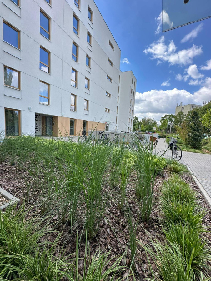 Apartment in Poznań, Junikowo, Grunwald - Widok 2