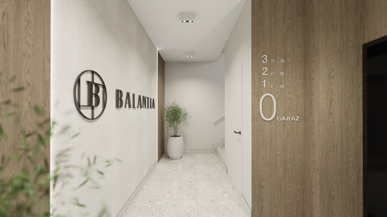 Balantia - Widok 4