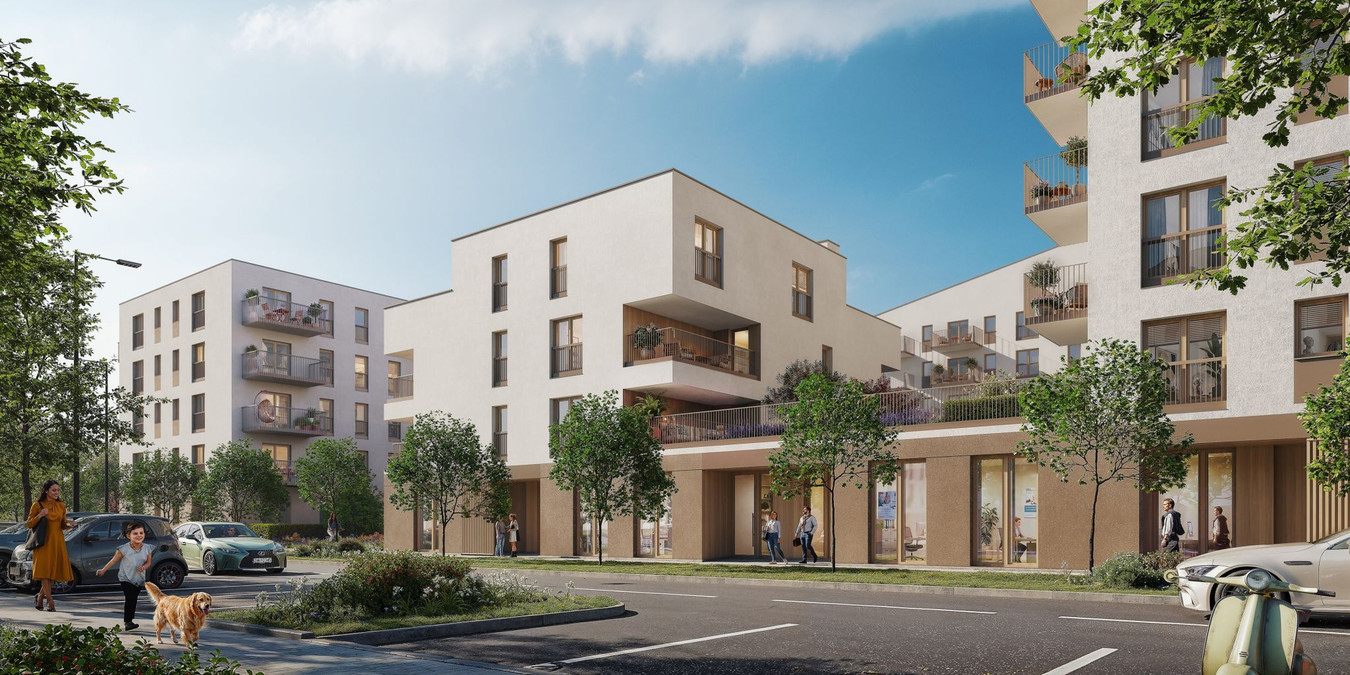 1+1 daire, 46 m²