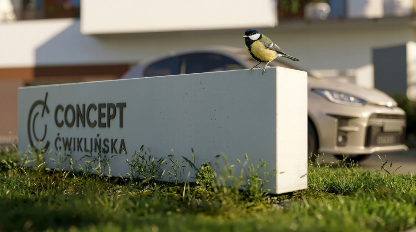 Concept Ćwiklińska - Widok 5