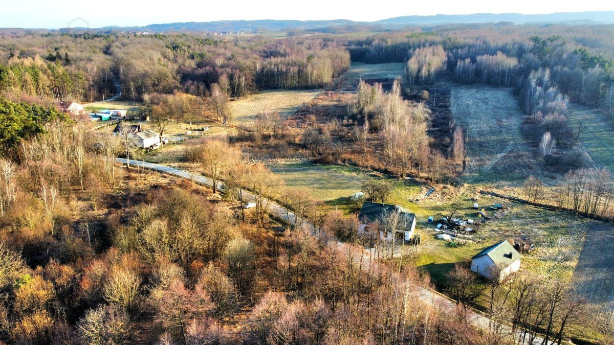Gotowa do budowy działka w Podlesiu k/Pilzna - Więcej