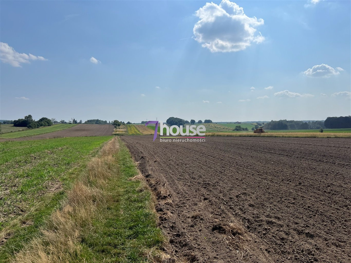 gratka-7HO-GS-26118 - Widok 4