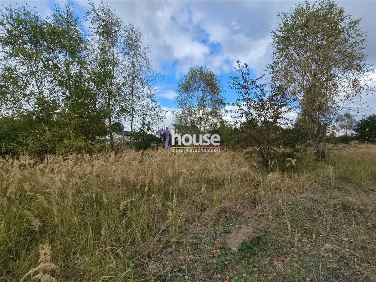 Piękna duża działka budowlana z drzewami 4800 m² - Widok 5