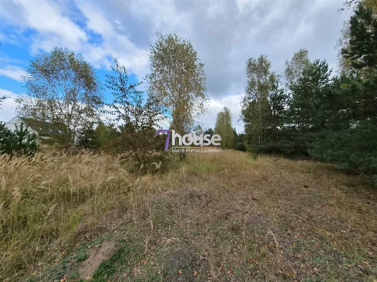 Piękna duża działka budowlana z drzewami 4800 m² - Widok 3