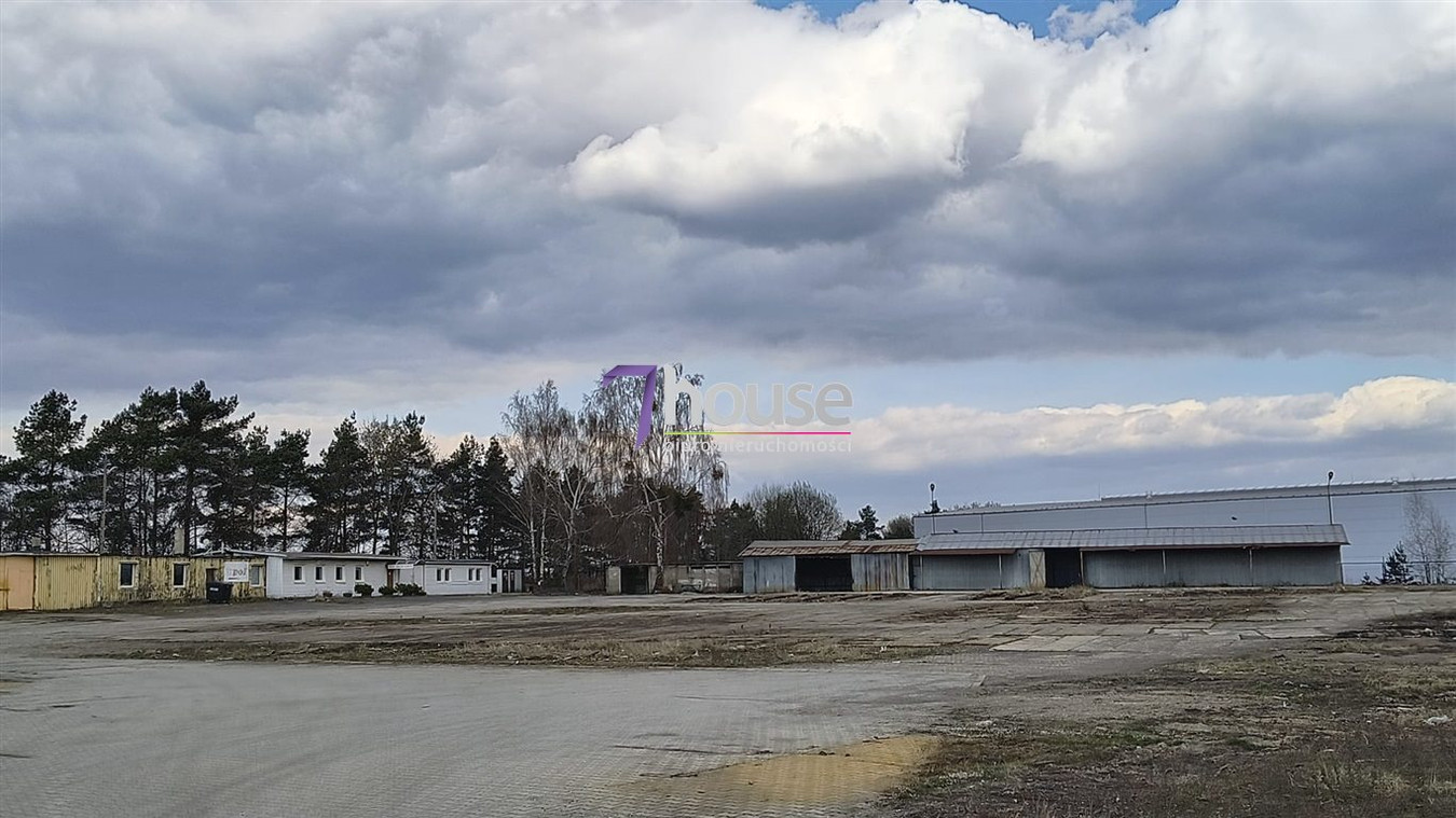 Utwardzony teren Hale 3000 m², socjal, magazyny - Widok 3