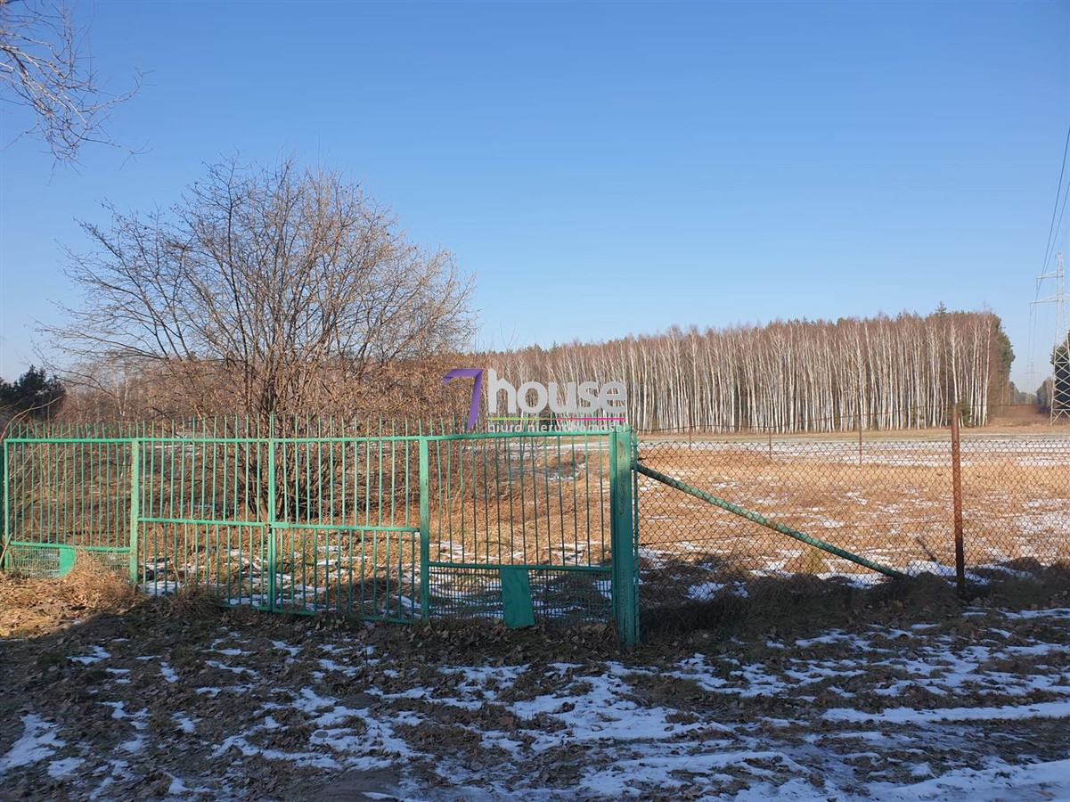 Działka z potencjałem – cisza, las i szybki start - Widok 2