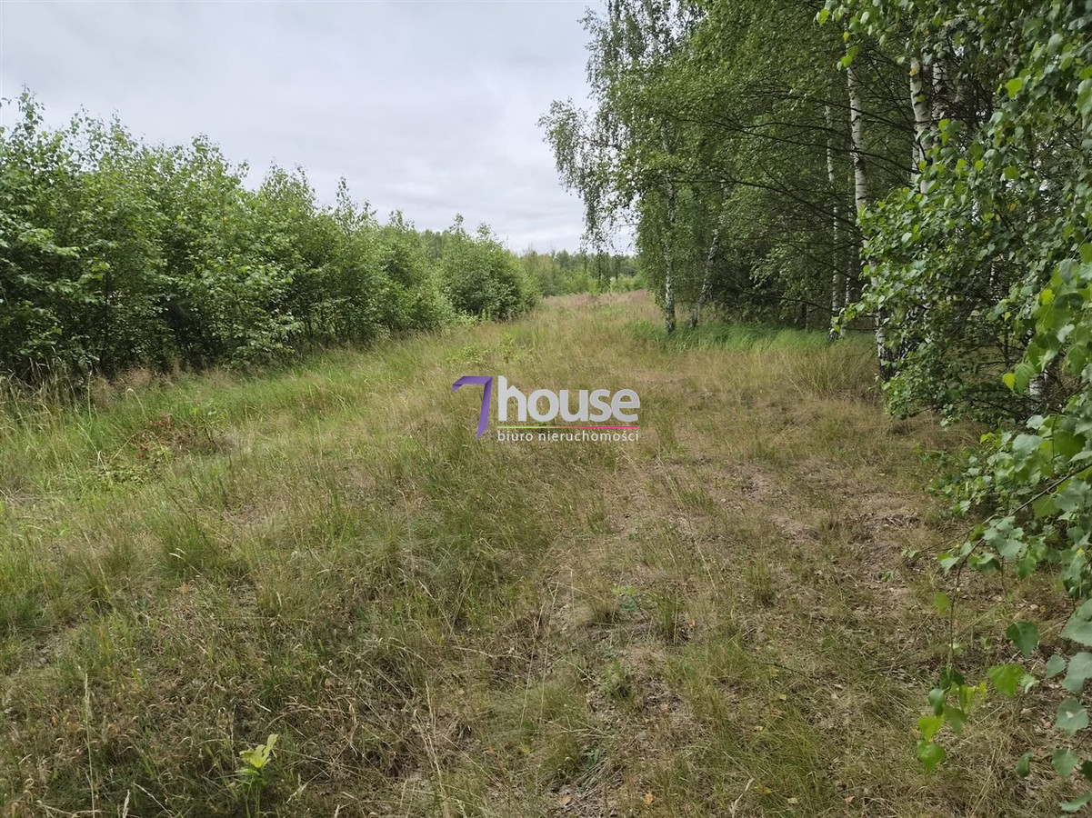 Działka Budowlana 900 m² ! Wydane warunki zabudwy - Widok 3
