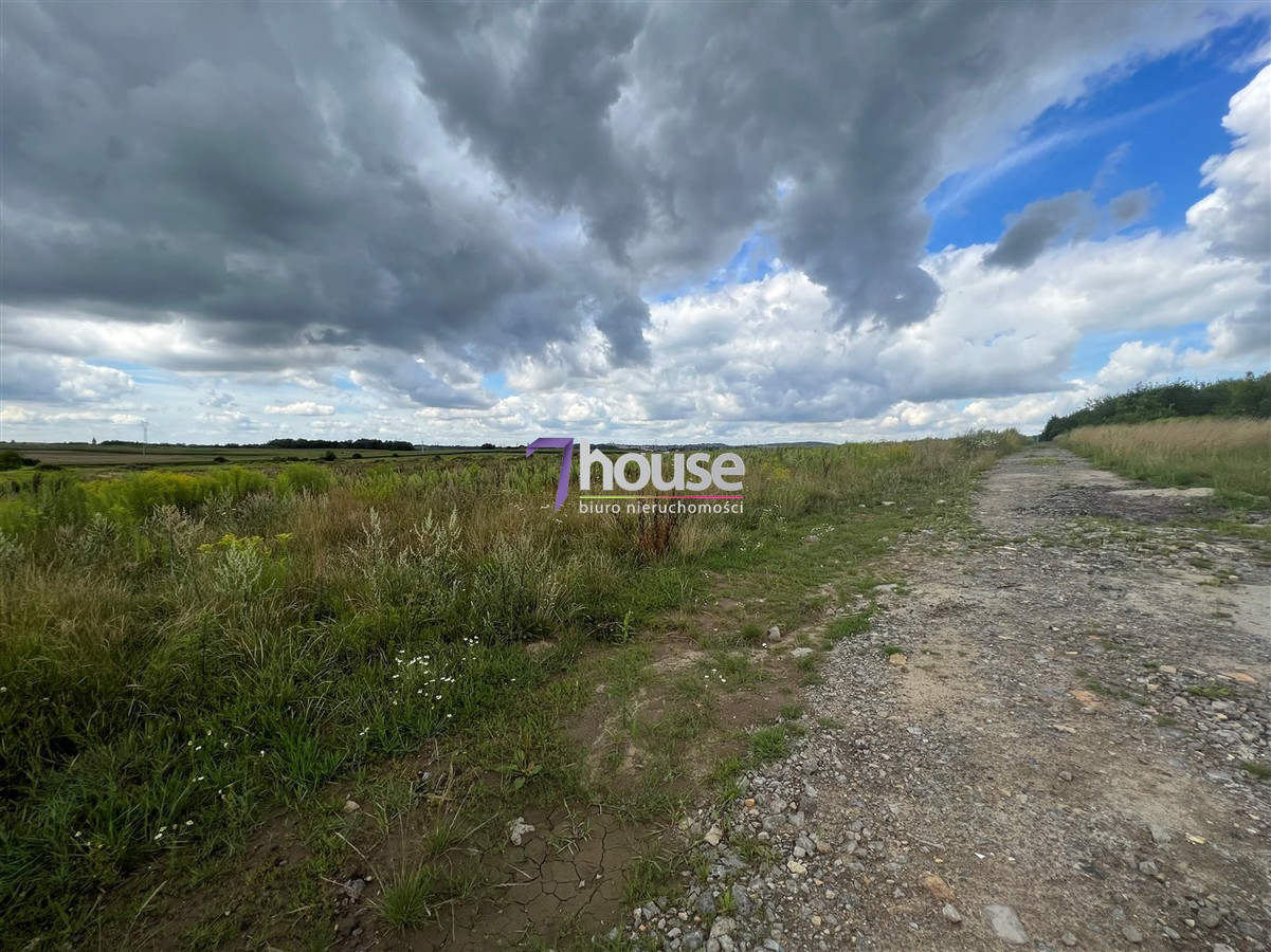 gratka-7HO-GS-25916 - Widok 4