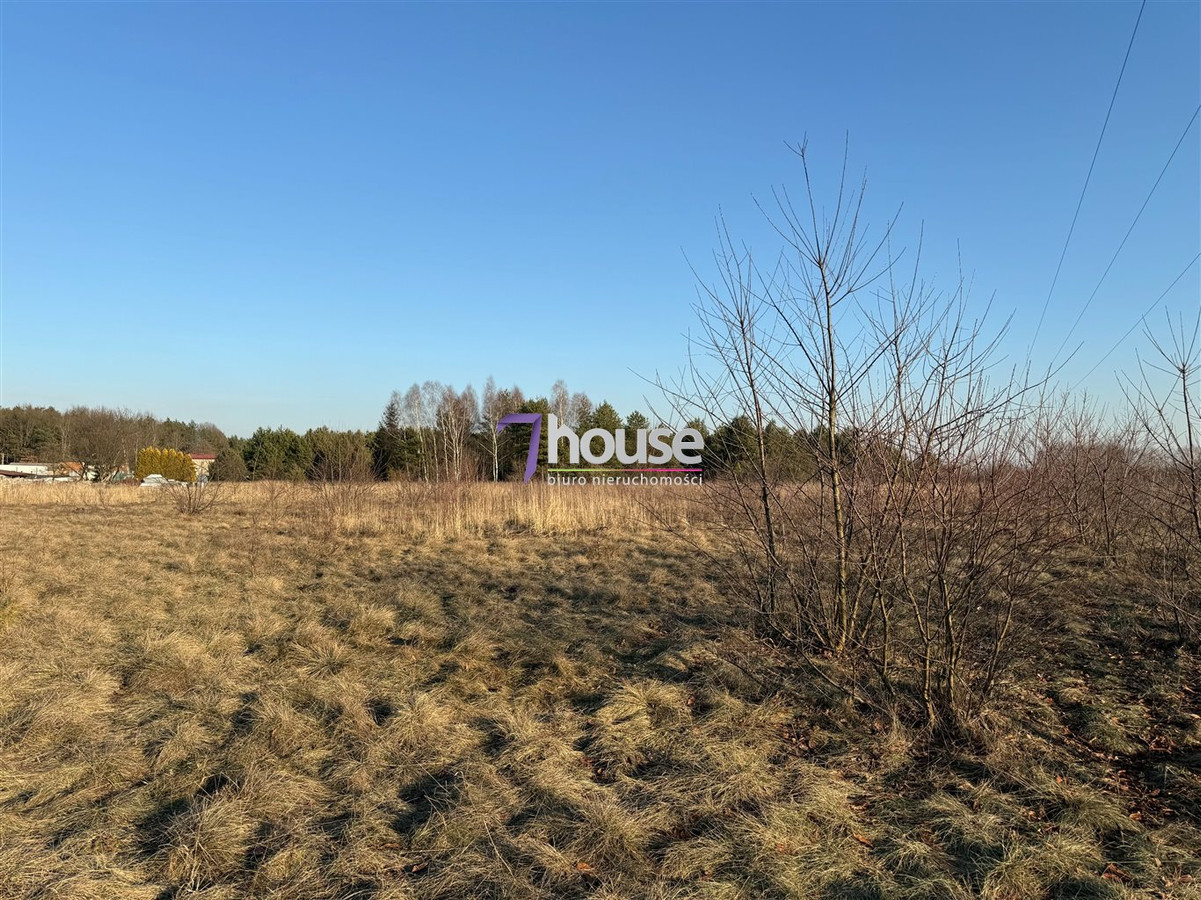 gratka-7HO-GS-24569 - Widok 4