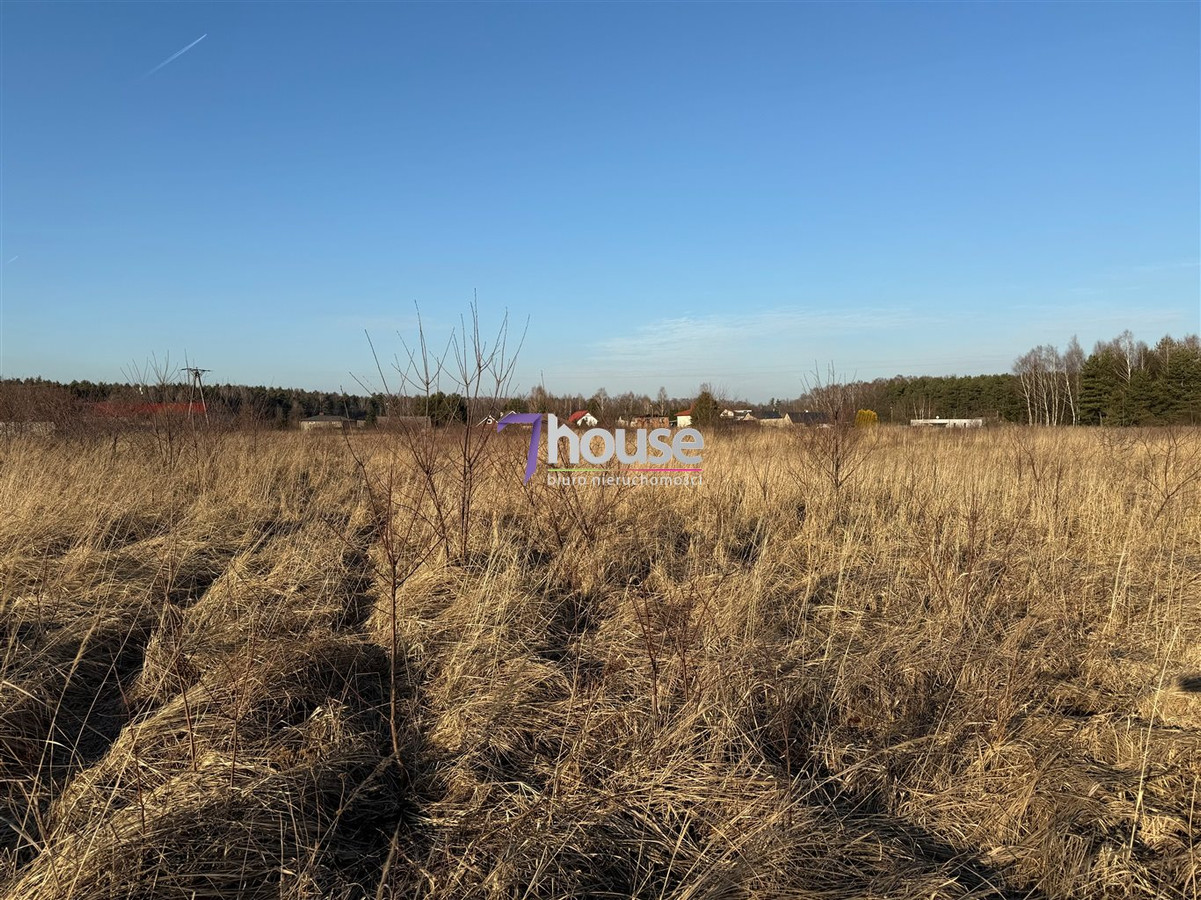 gratka-7HO-GS-24569 - Widok 5
