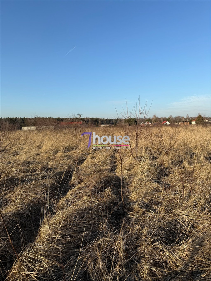 gratka-7HO-GS-24569 - Widok 2