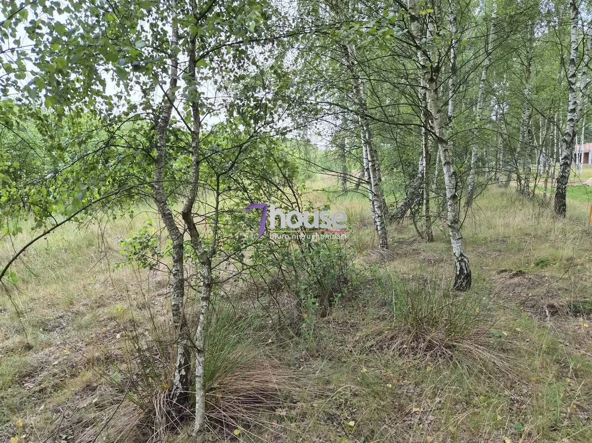 Działka Budowlana 900 m² ! Wydane warunki zabudwy - Widok 2