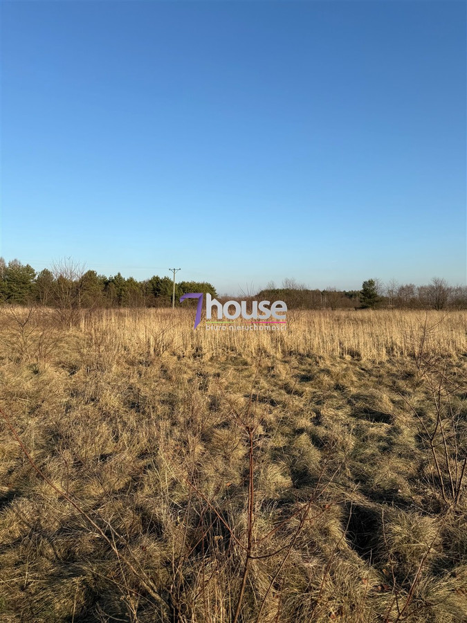 gratka-7HO-GS-24569 - Widok 3