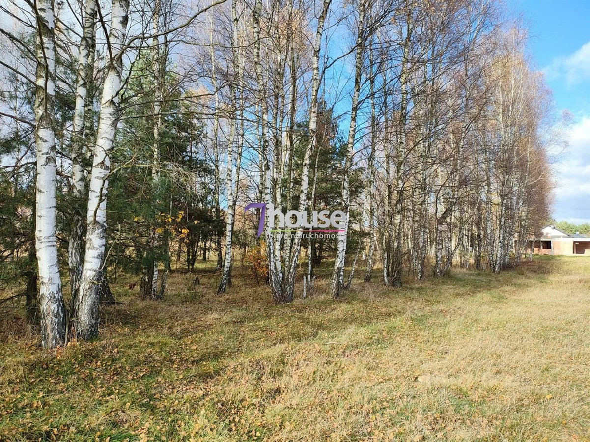 Działka Budowlana 2000 m² !Wydane warunki zabudowy - Widok 5