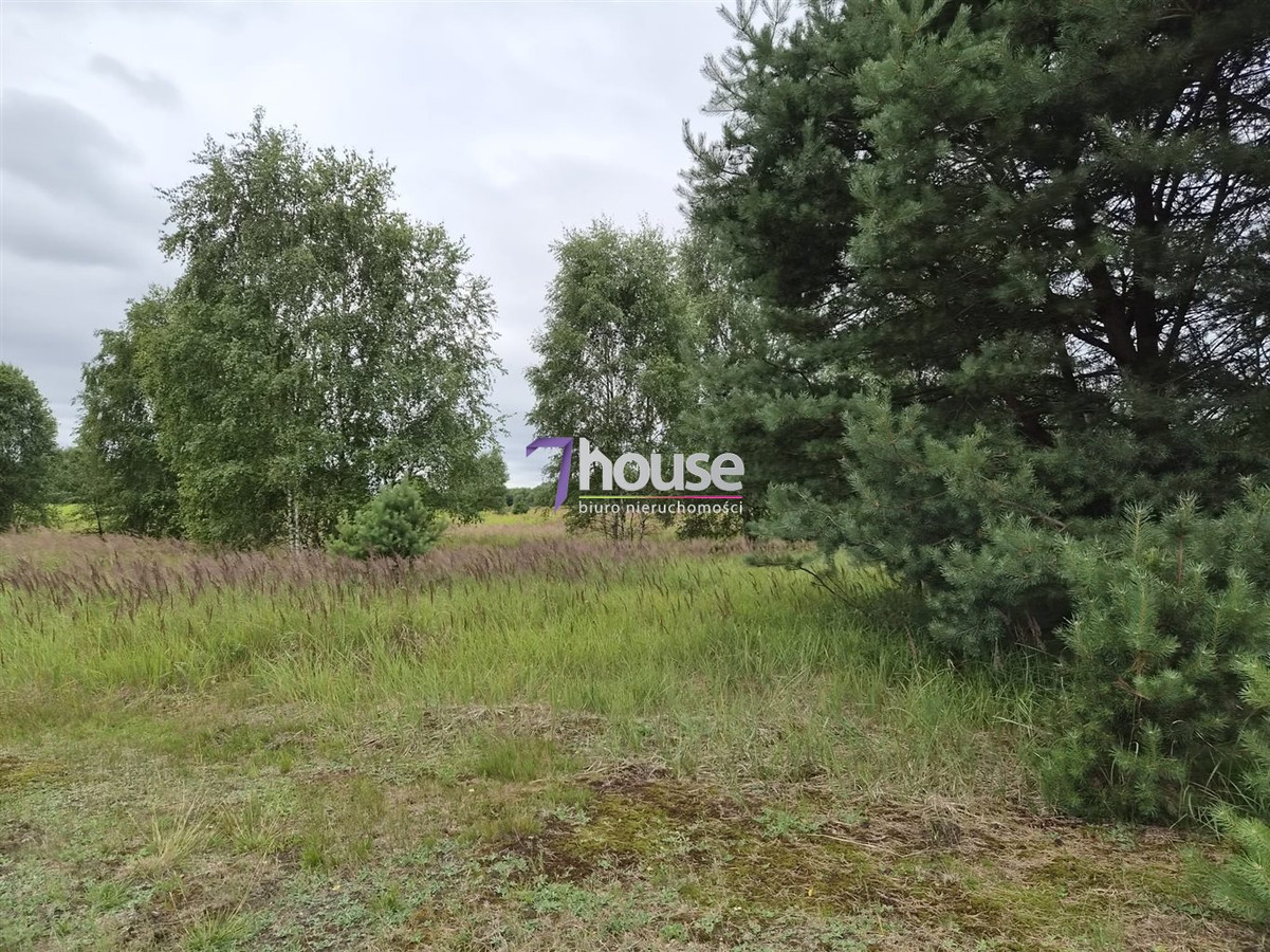 Działka Budowlana 900 m² ! Wydane warunki zabudwy - Widok 4
