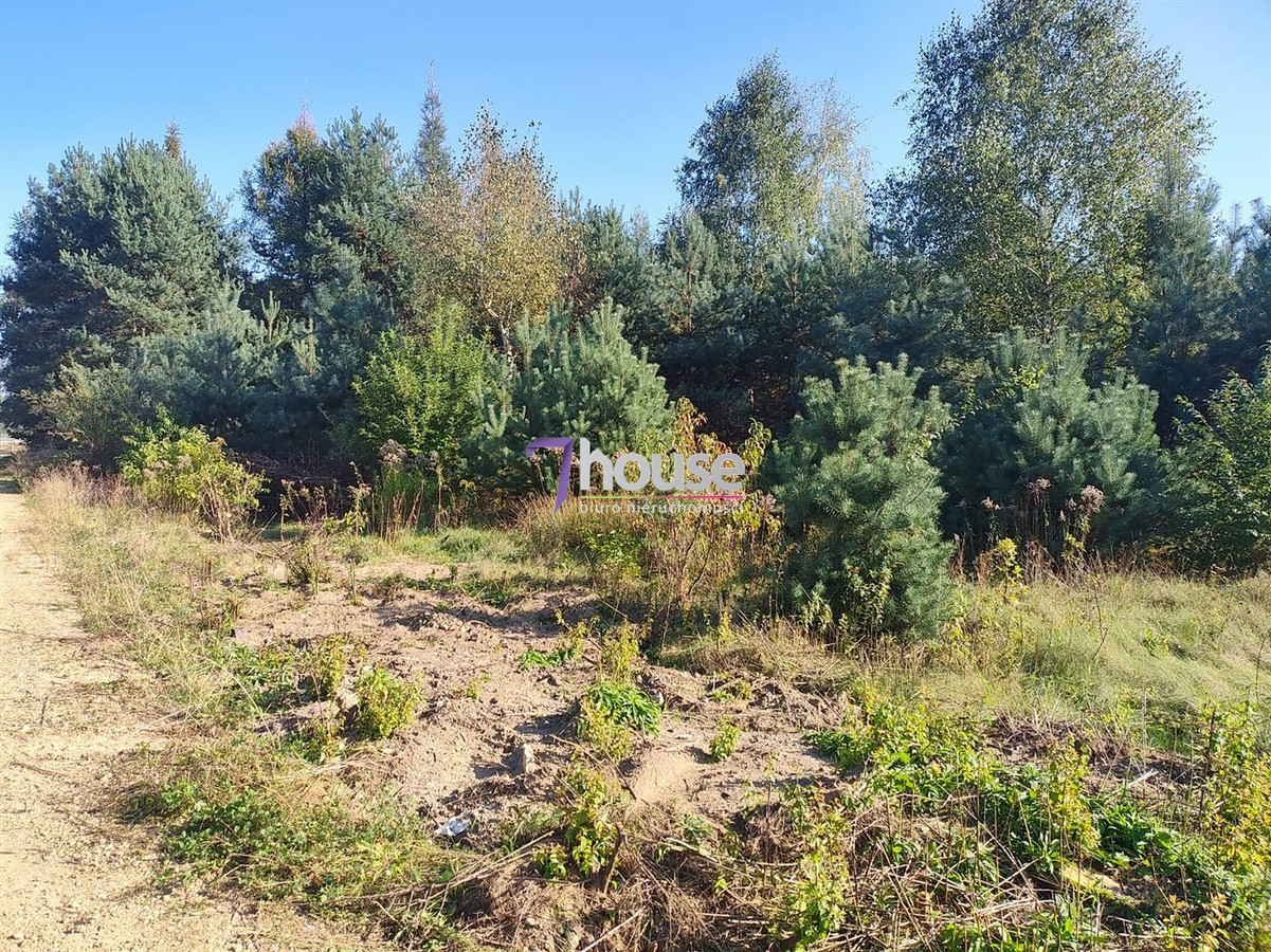 Działka inwestycyjna, parking, usługi ! 32 400 m² - Widok 5