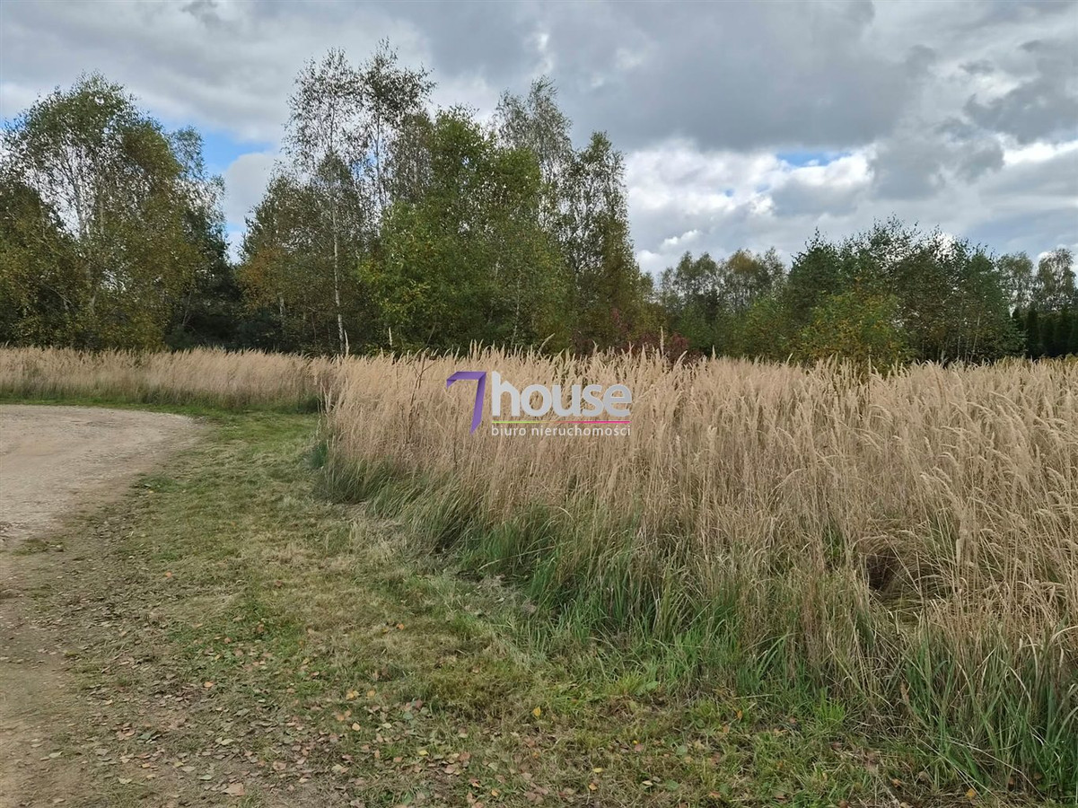 Piękna duża działka budowlana z drzewami 4800 m² - Widok 2