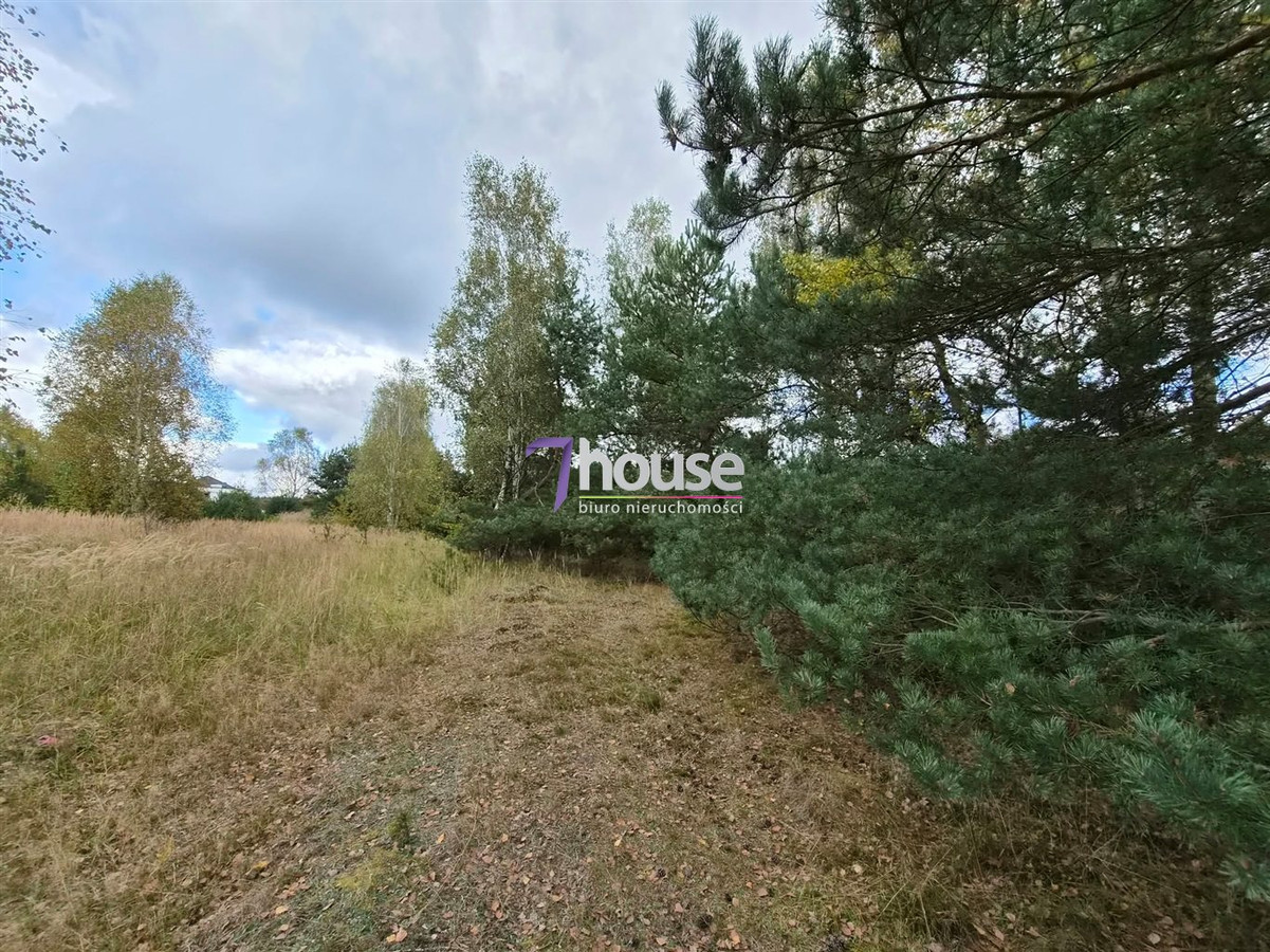 Piękna duża działka budowlana z drzewami 4800 m² - Widok 4