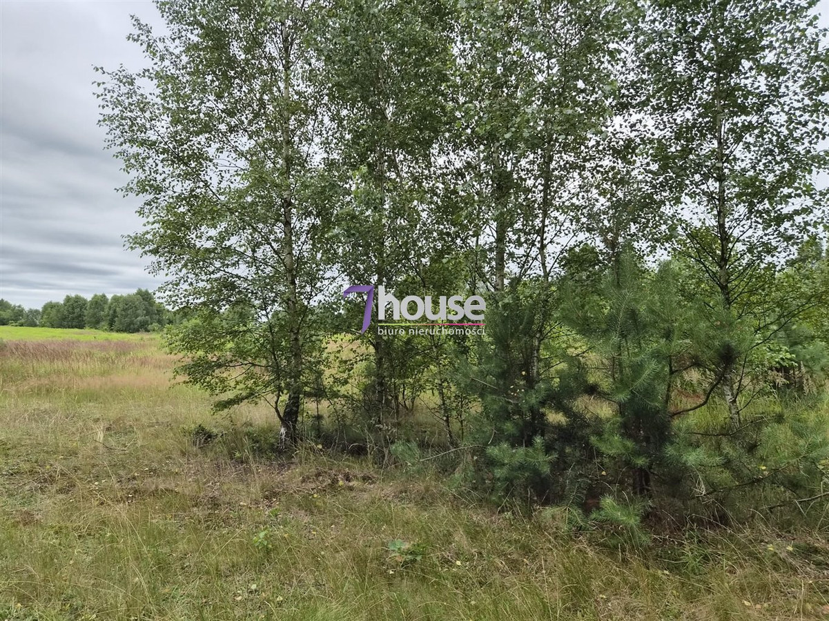 Działka Budowlana 900 m² ! Wydane warunki zabudwy - Widok 2