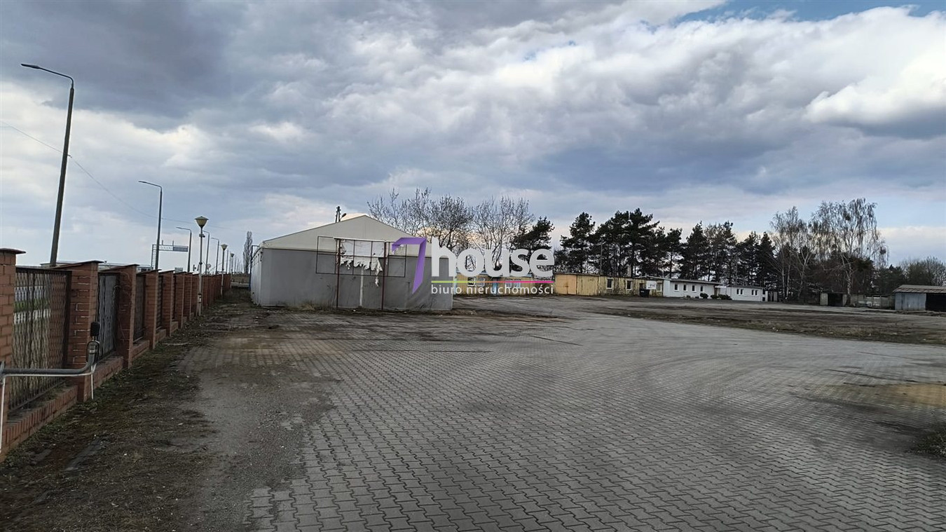 Utwardzony teren Hale 3000 m², socjal, magazyny - Widok 4