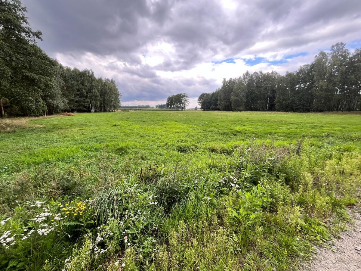 Działki w Dobków pod zabudowę domu jednorodzinnego - Widok 3