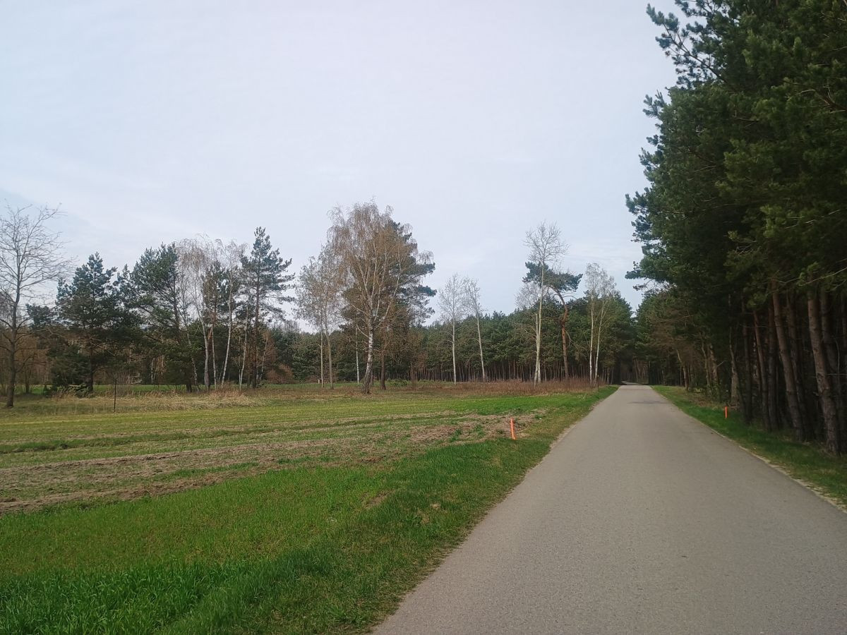 Piękna działka przy lesie - Widok 2