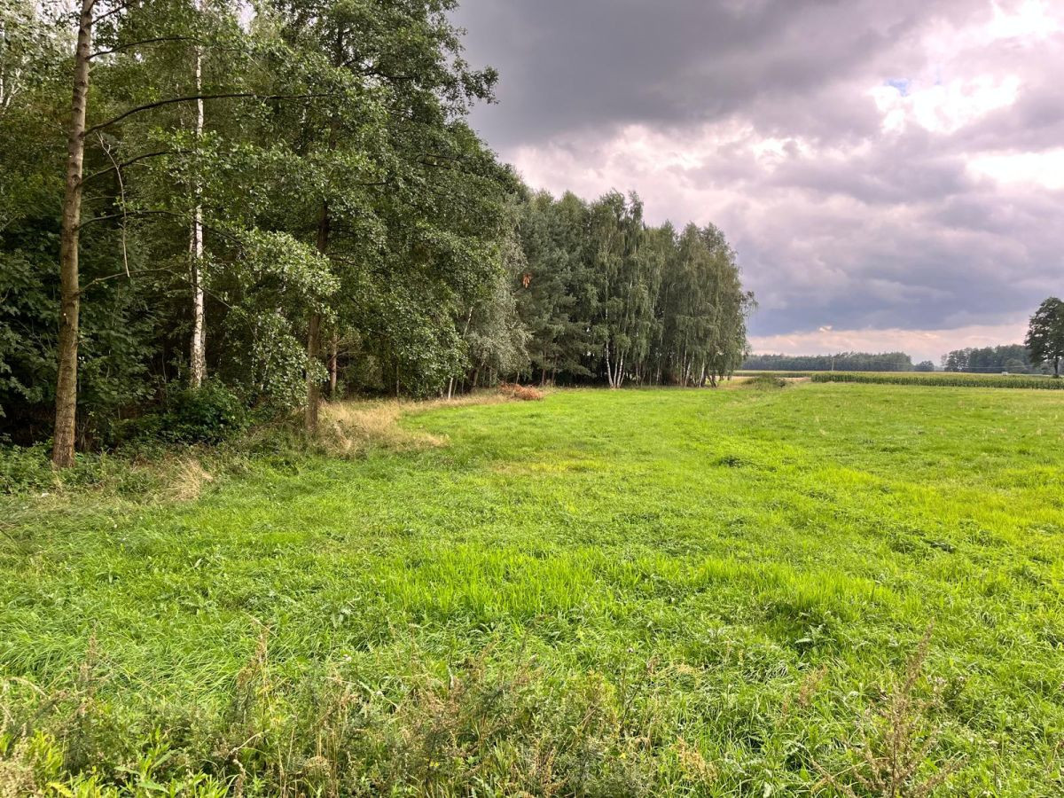 Działki w Dobków pod zabudowę domu jednorodzinnego - Widok 4