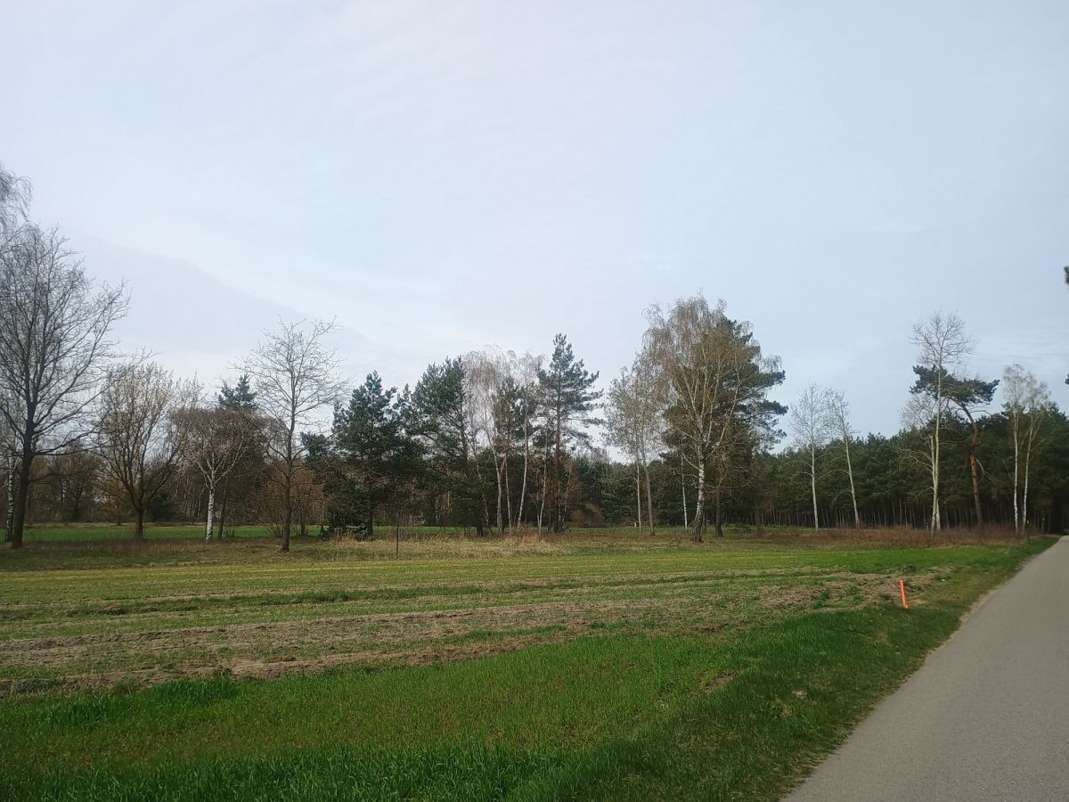 Piękna działka przy lesie - Widok 3
