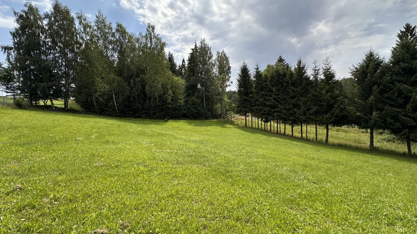 10 ar BUDOWLANE* Przy LESIE* Dostęp do drogi* CICHO - Widok 3