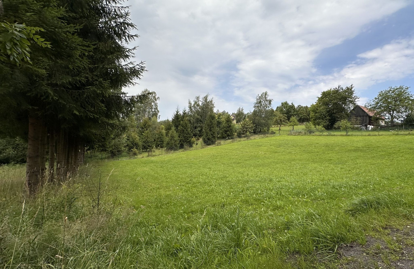 10 ar BUDOWLANE* Przy LESIE* Dostęp do drogi* CICHO - Widok 5