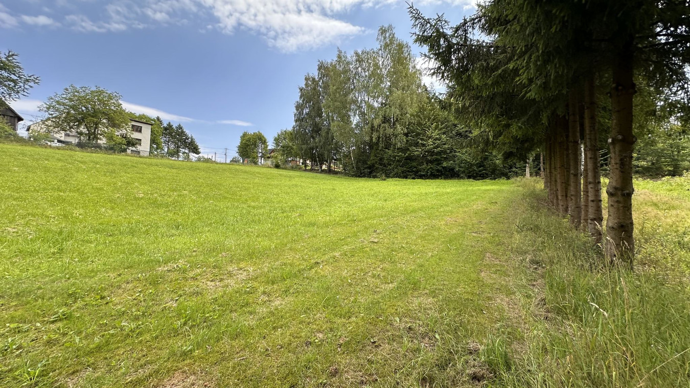 10 ar BUDOWLANE* Przy LESIE* Dostęp do drogi* CICHO - Widok 4