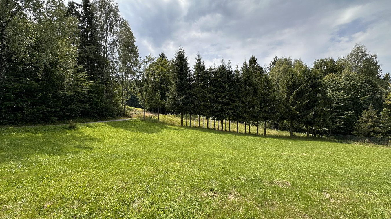 10 ar BUDOWLANE* Przy LESIE* Dostęp do drogi* CICHO - Widok 2