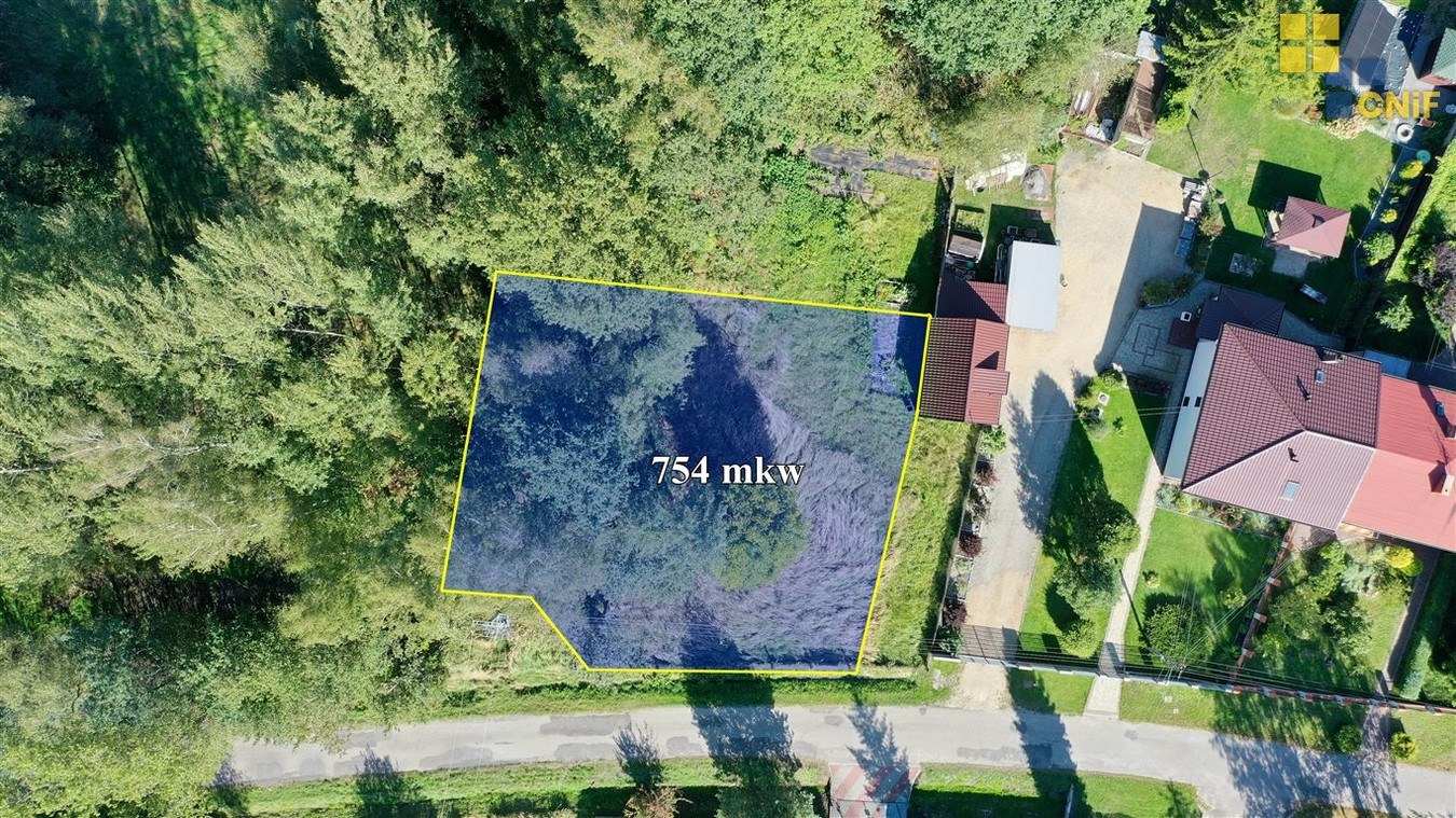 Brzeziny Kolonia - działka budowlana - Widok 2