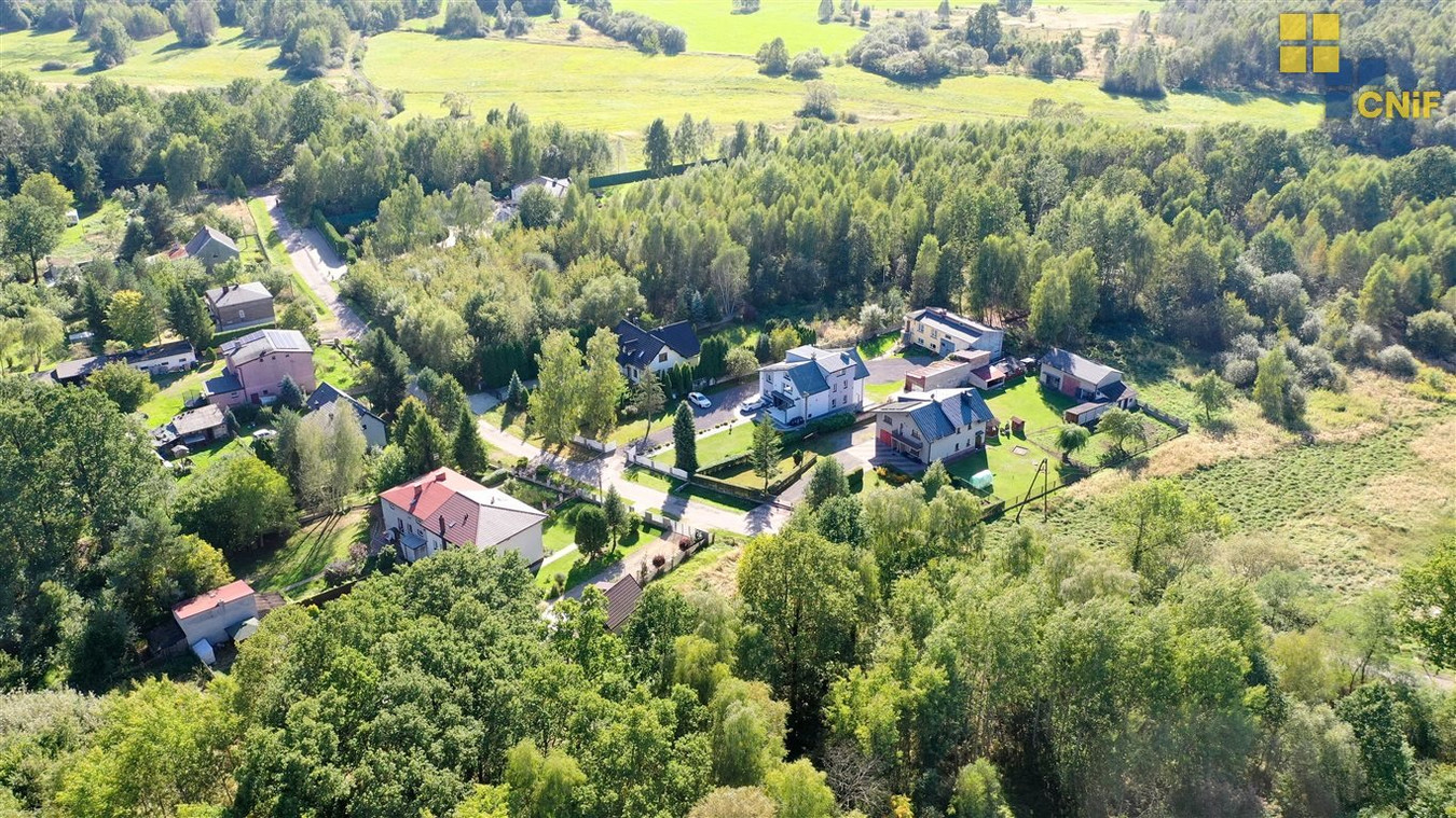 Brzeziny Kolonia - działka budowlana - Widok 6