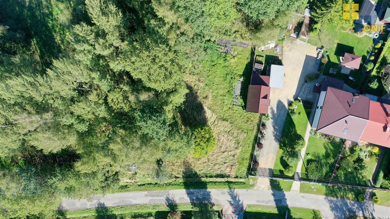 Brzeziny Kolonia - działka budowlana - Widok 5