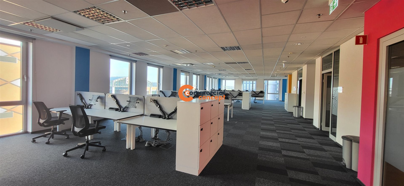 Powierzchnie od 250 m². Umowa już od 12 miesięcy - Widok 5