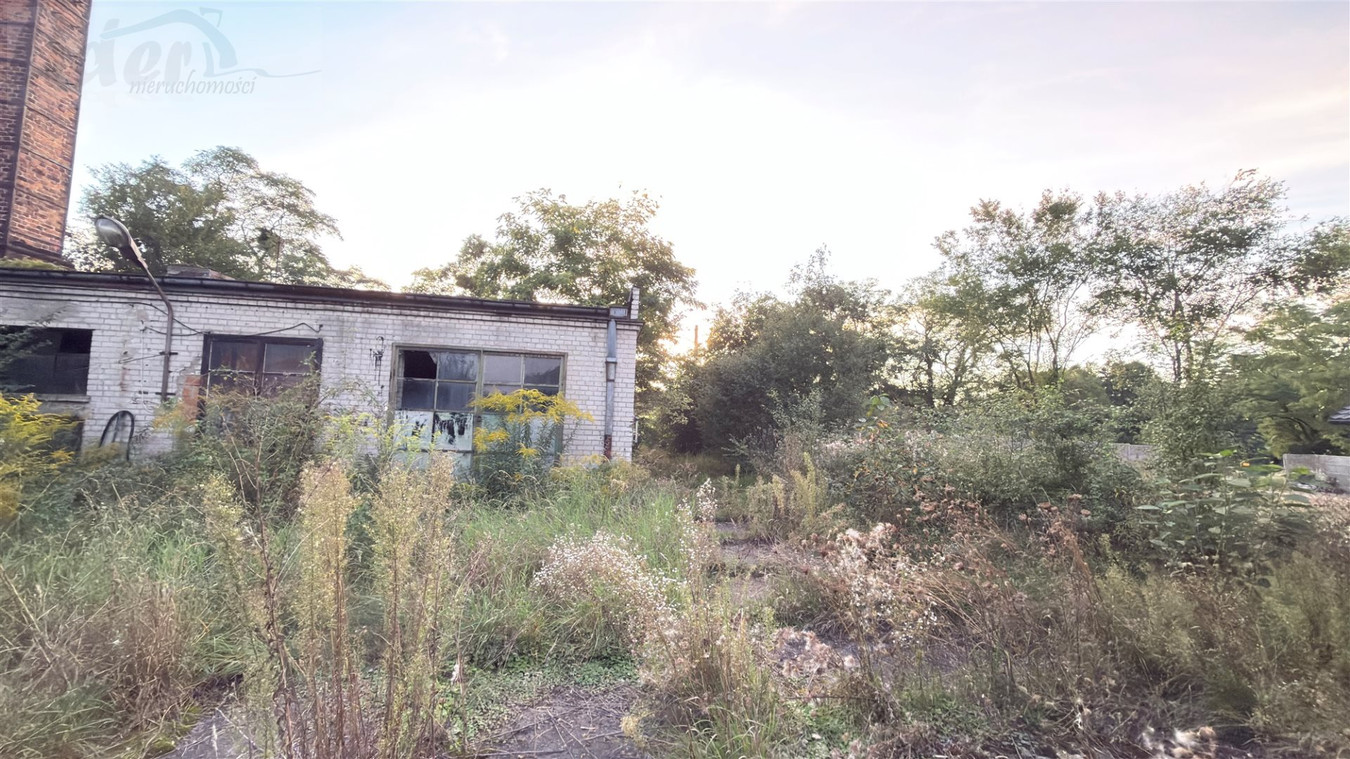 Działka Giemzówek/Brójce - Widok 3