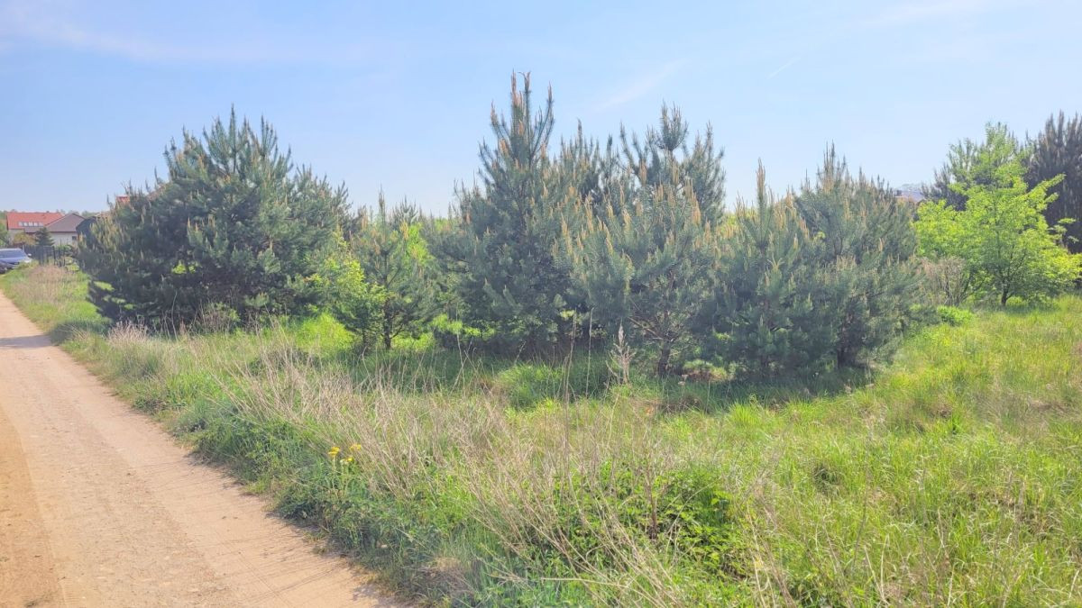 Słoneczna działka w Lubniewicach - Widok 4