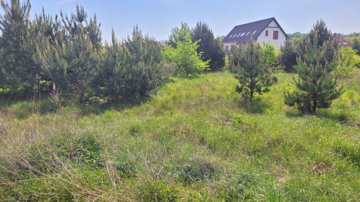Słoneczna działka w Lubniewicach - Więcej