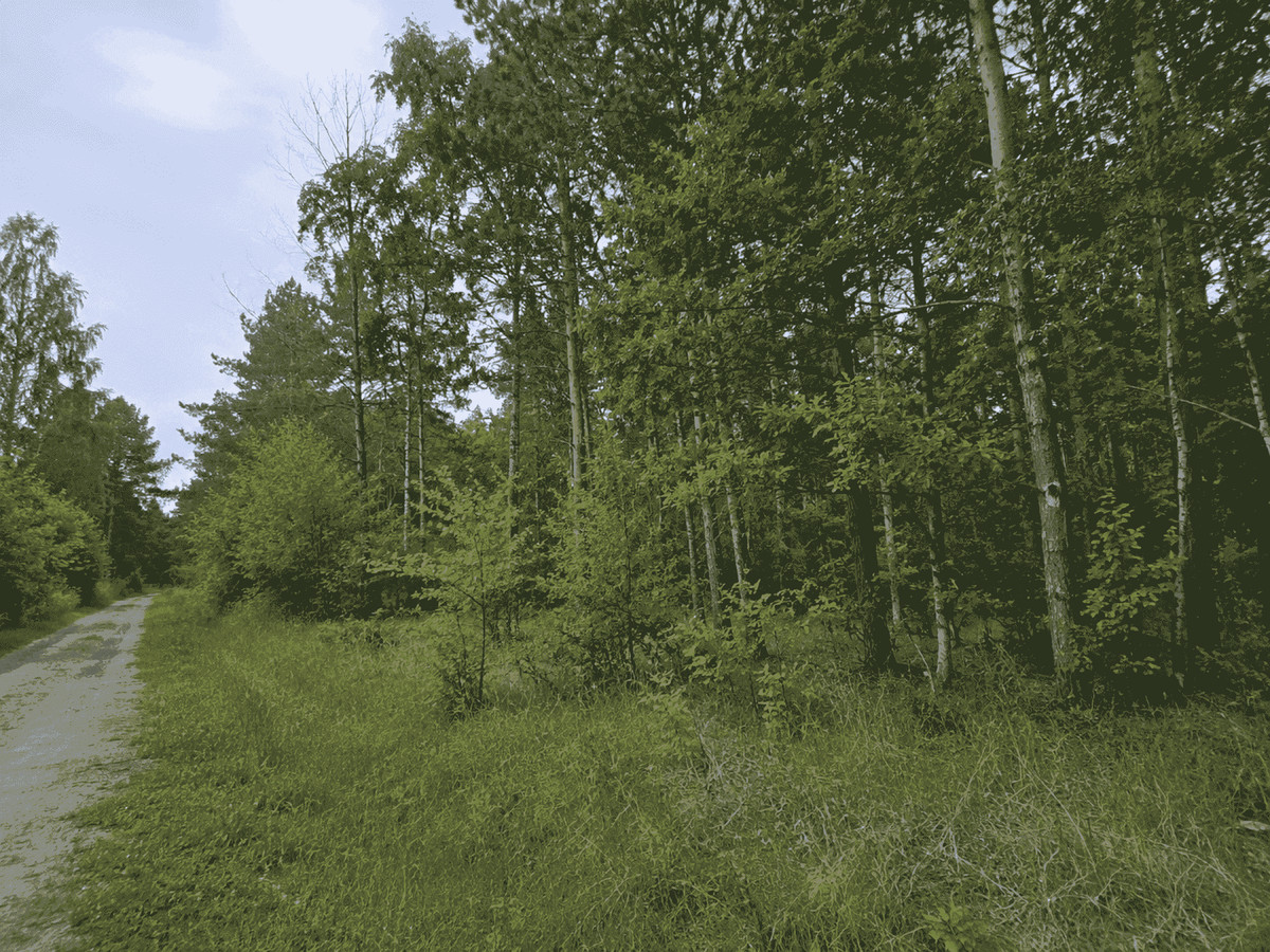 Atrakcyjna działka budowlana z mediami - Widok 4