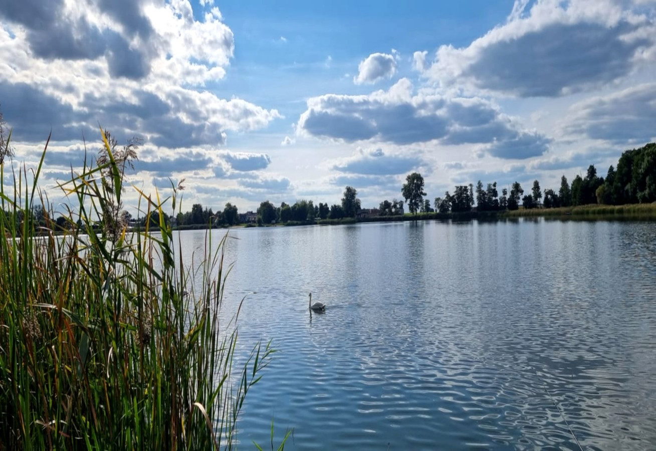 Działka z MPZP MJ - Strykowo - Widok 2