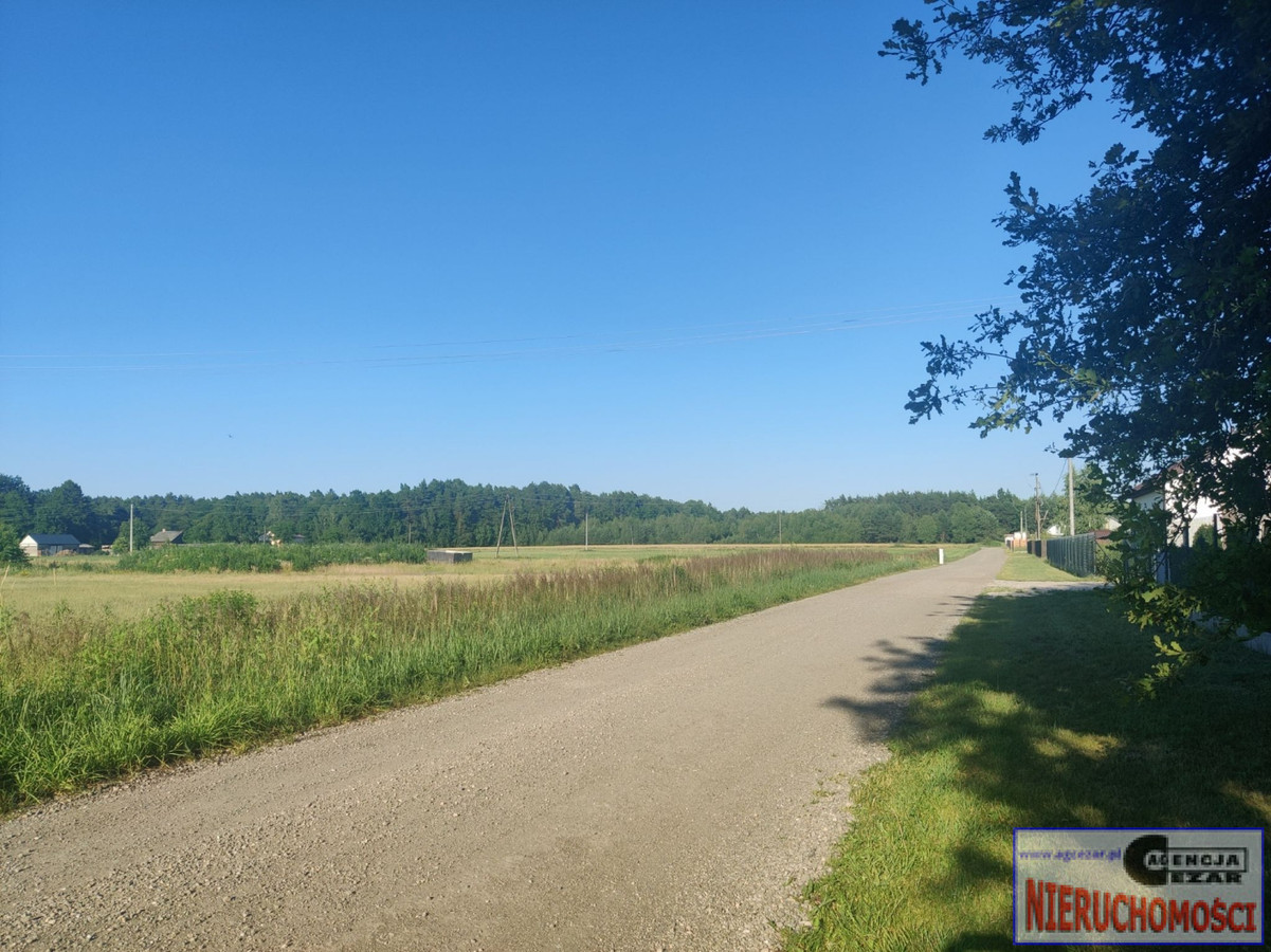 Działka 4,39 ha z WZ na 27 domów – Papiernia, pow. miński - Więcej