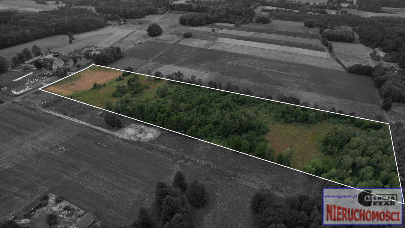 Działka 4,39 ha z WZ na 27 domów – Papiernia, pow. miński - Widok 2