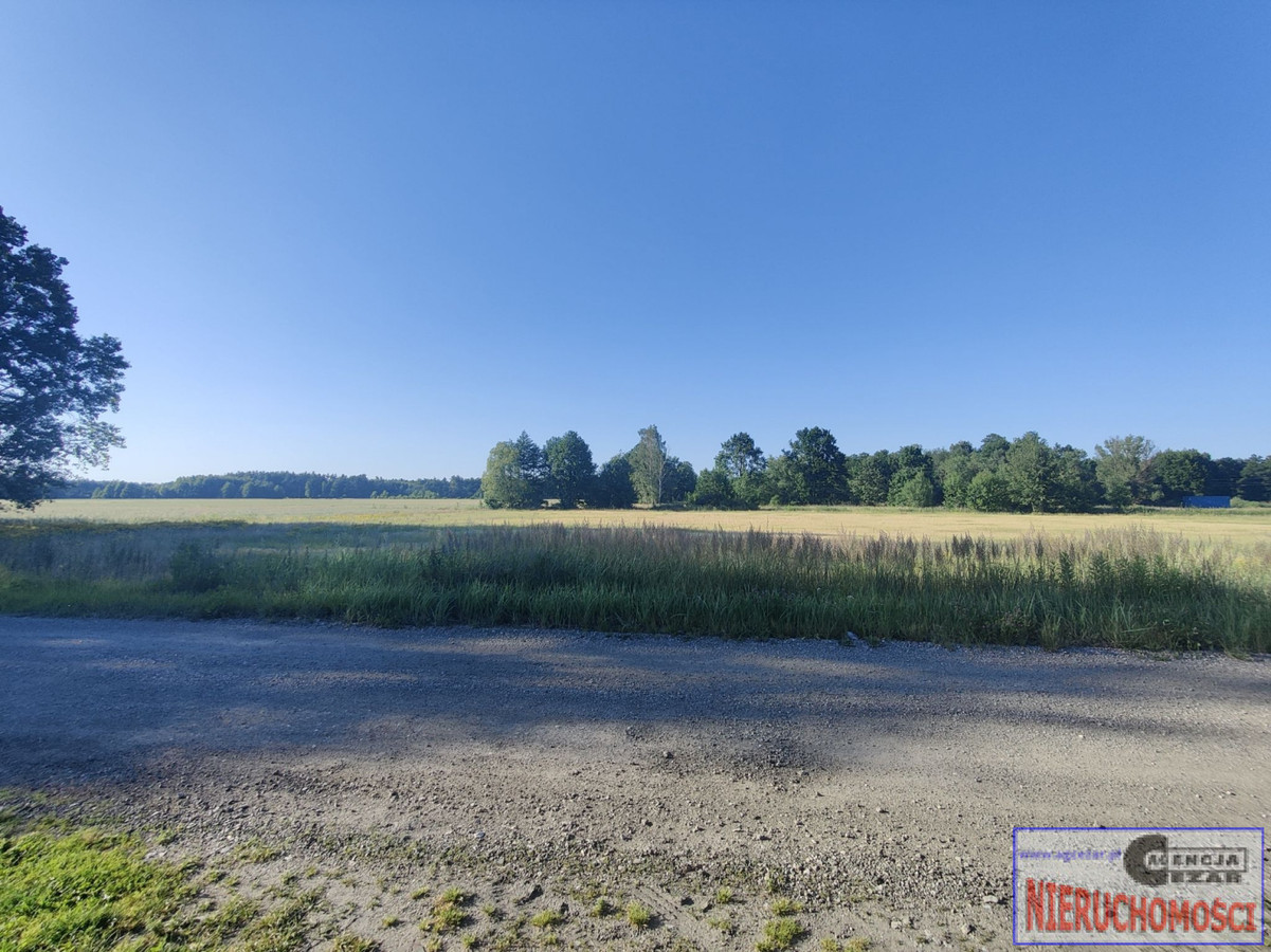 Działka 4,39 ha z WZ na 27 domów – Papiernia, pow. miński - Widok 5