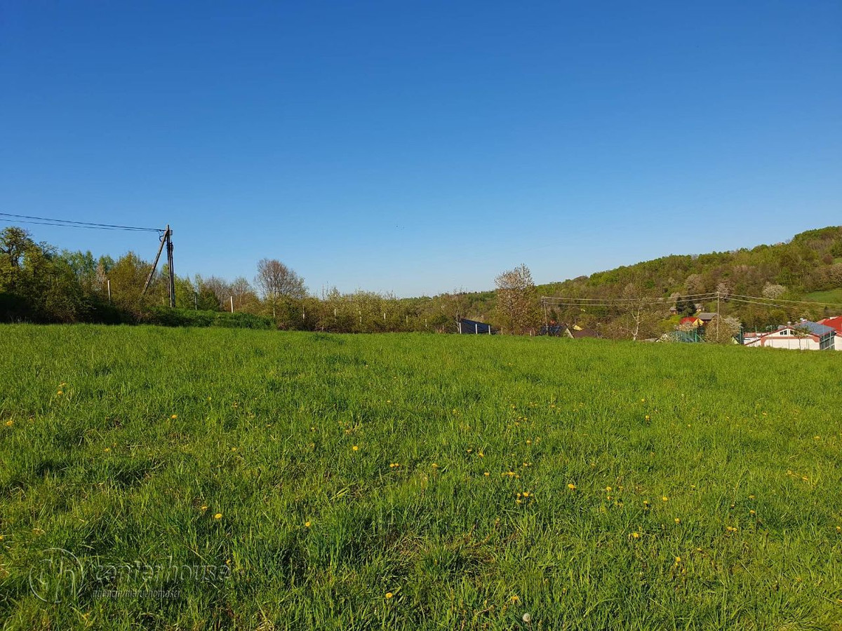Działka budowlana Hermanowa 40ar, WZ pod dom - Widok 4