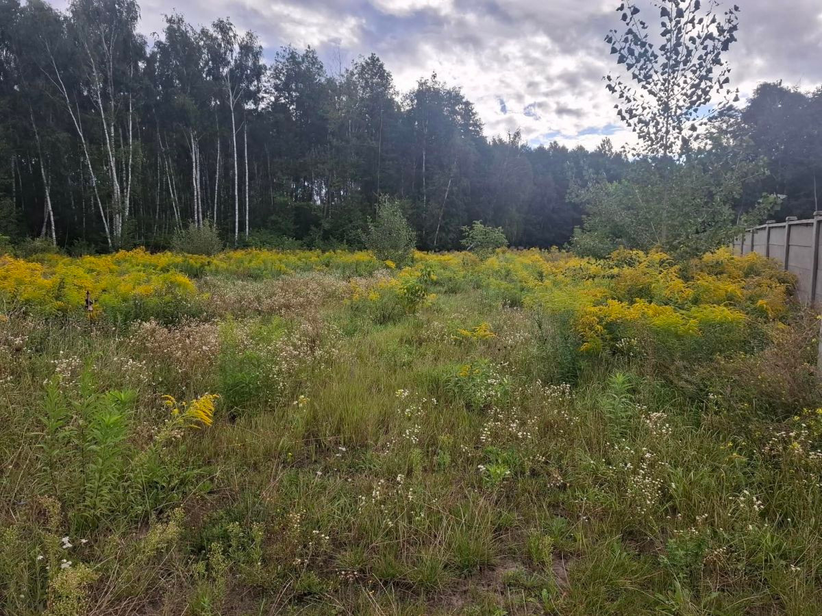 Działka budowlana z mediami i MPZP 1491 m²! | Bieganów - Widok 4