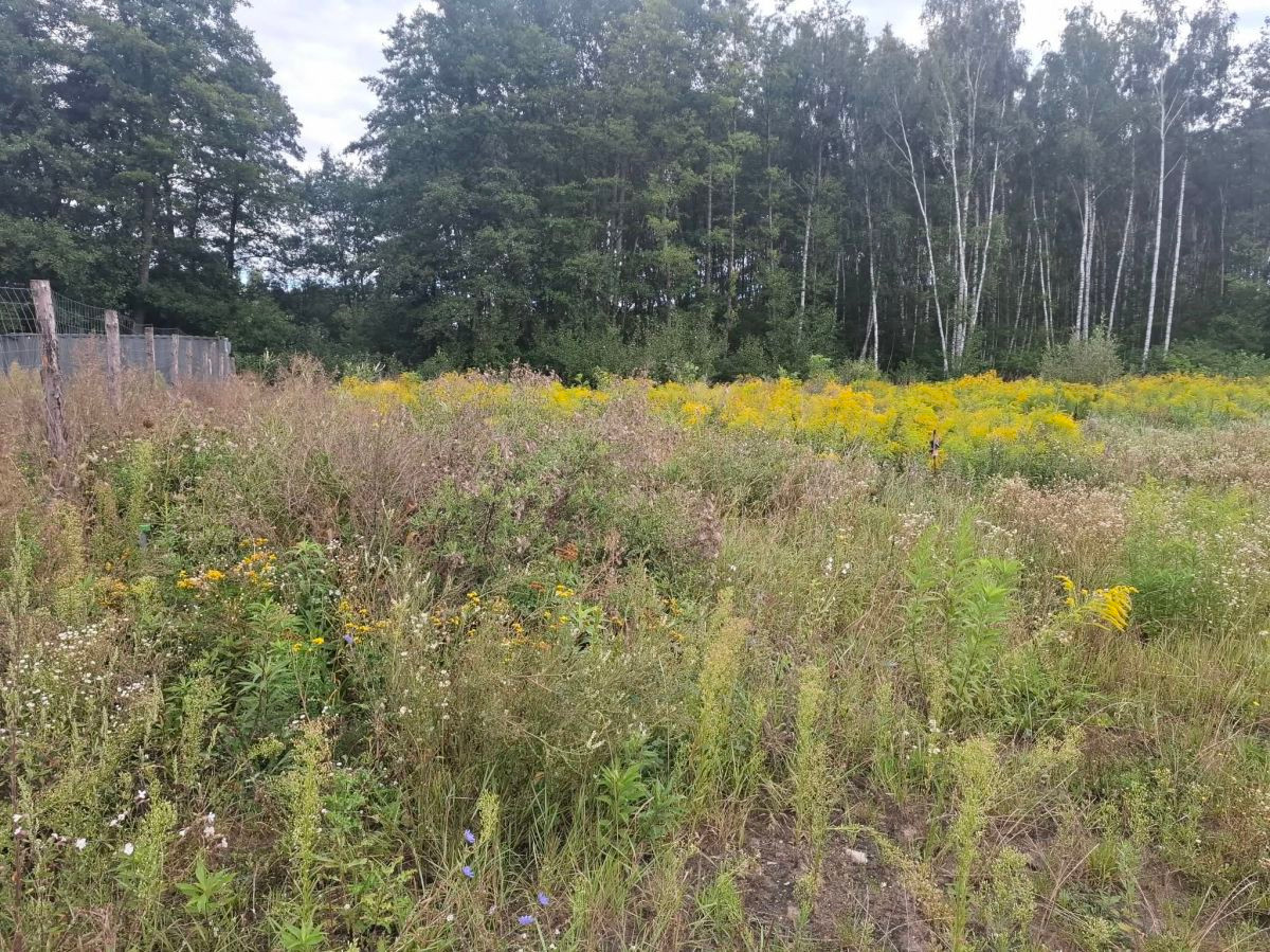 Działka budowlana z mediami i MPZP 1491 m²! | Bieganów - Widok 2
