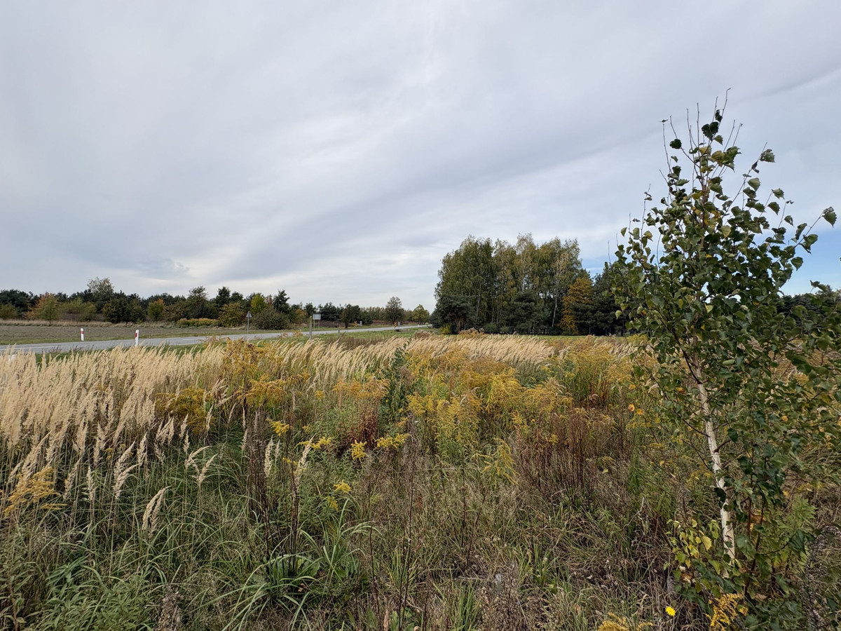 Działka budowlana 1270 m² | Stary Łajszczew, gmina Puszcza Mariańska - Widok 4