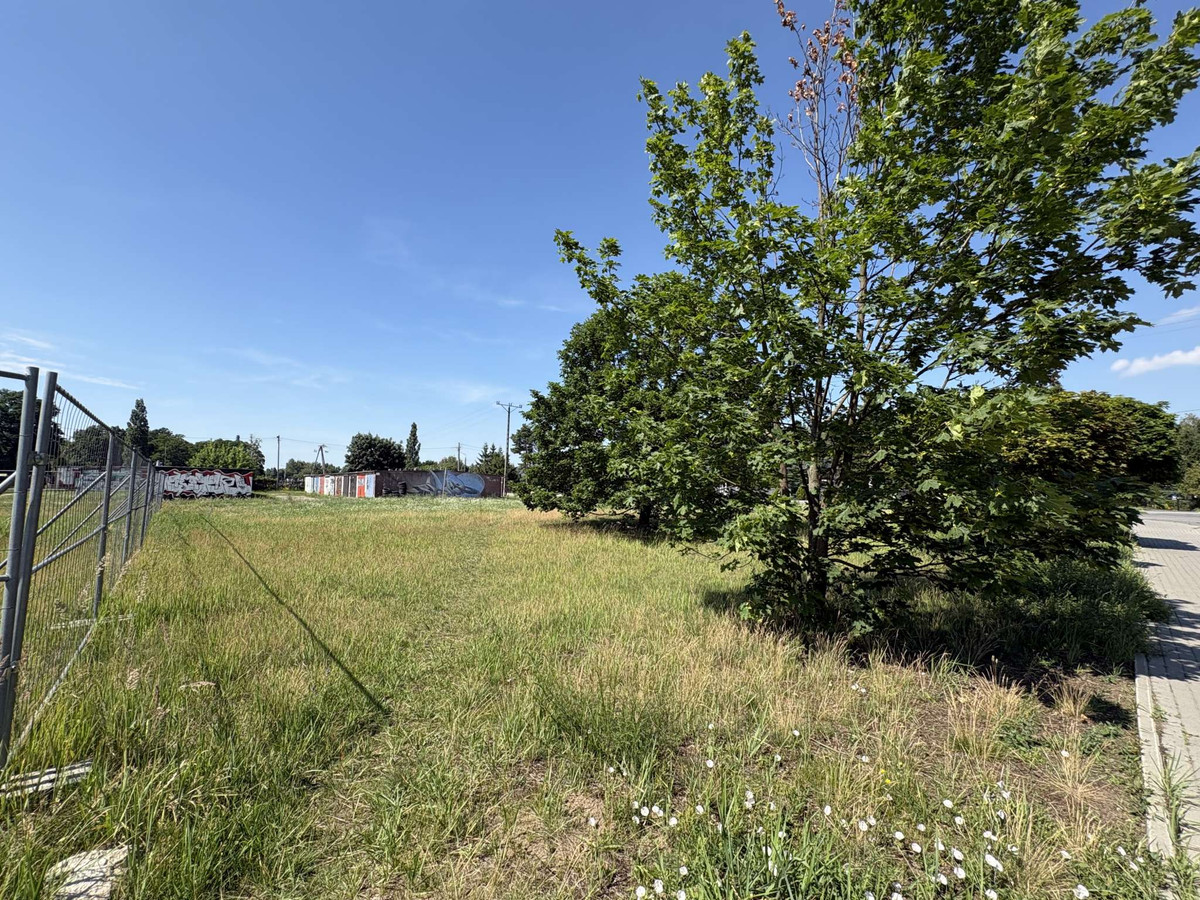 Działka budowlano-usługowa z MPZP 675 m² | blisko centrum Żyrardowa - Widok 4