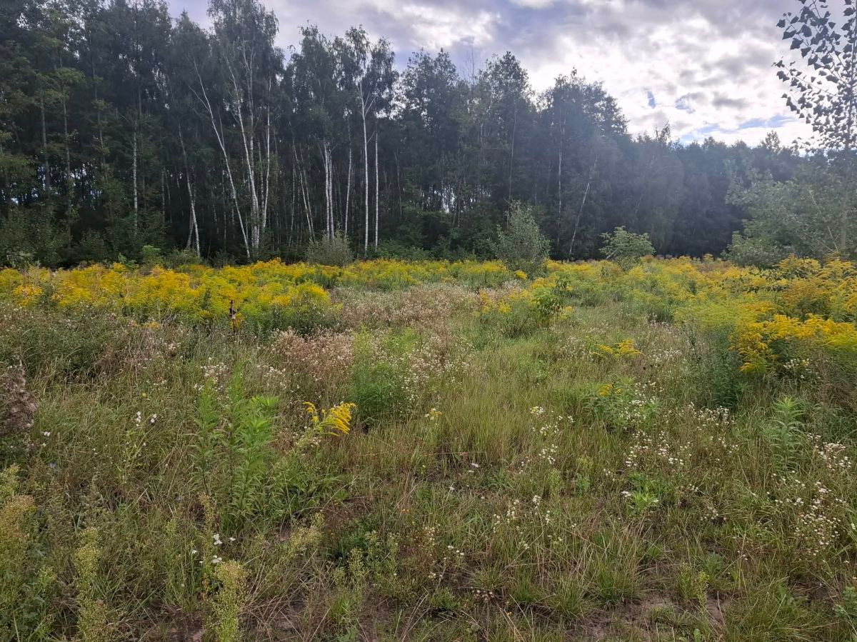 Działka budowlana z mediami i MPZP 1491 m²! | Bieganów - Widok 3